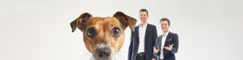 2-VANG24-010-Banner Website-2000x2000px-We love pets bigtime-blog