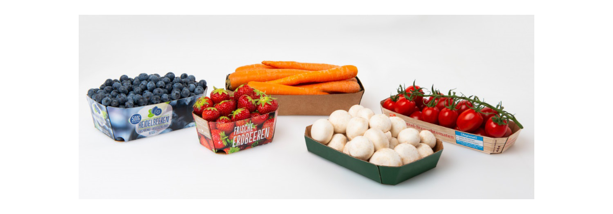 Copyright_VGP_Trays_1 Copyright_VGP_Trays_1