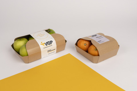 Copyright_VGP_Trays